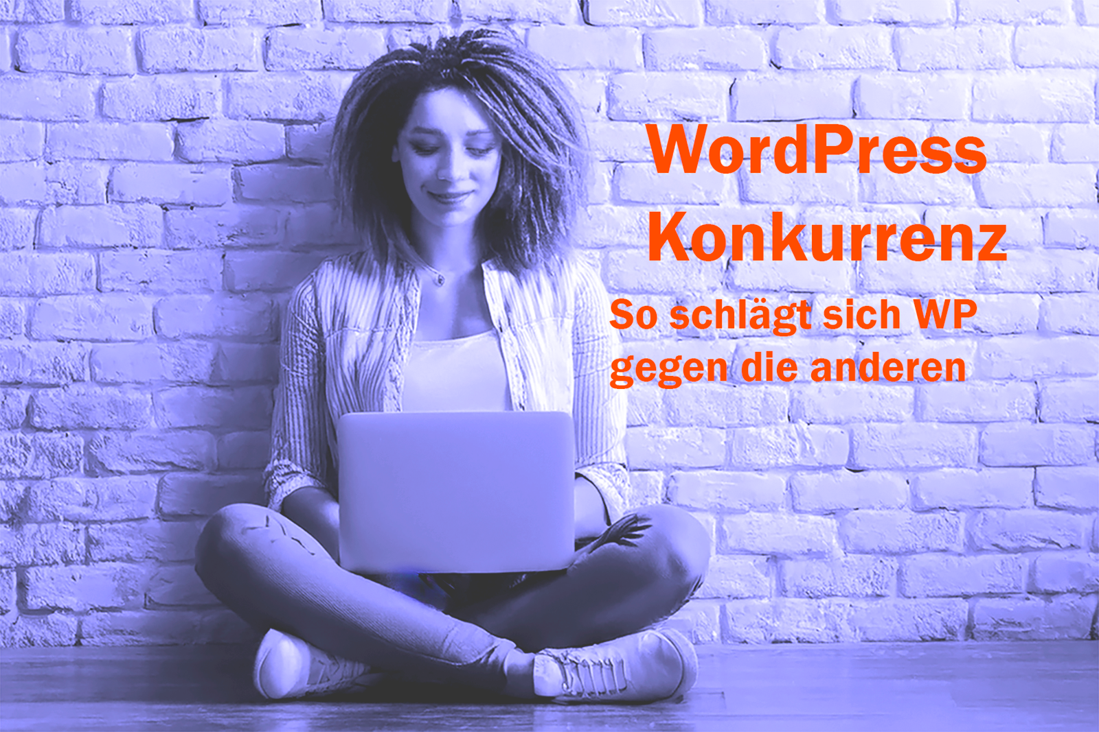 WordPress und seine Konkurrenten im Vergleich