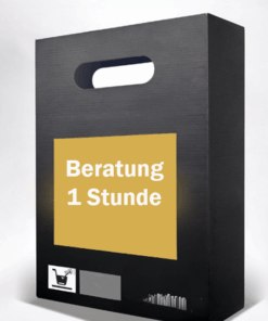 Onlinemarketingberatung 1 Stunde per Zoom