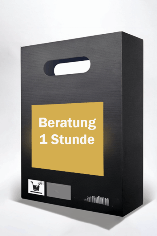 Onlinemarketingberatung 1 Stunde per Zoom