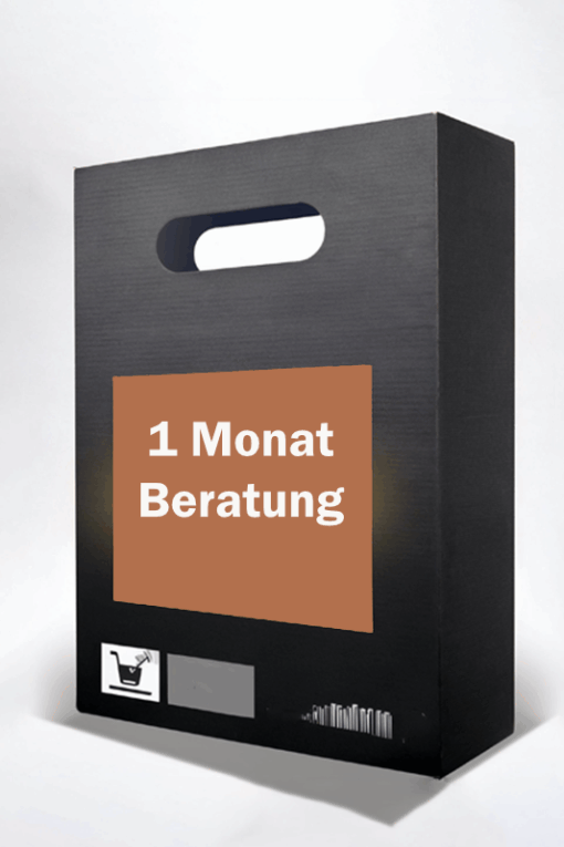 Onlinemarketing und WordPress Beratung Monatspauschale 1 Monat